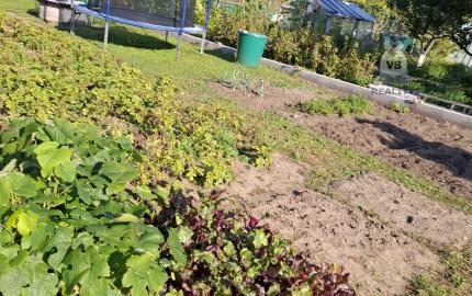 Záhrada na sídl. Mier, Sp. Nová Ves