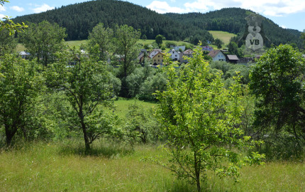 Pozemok s drevenicou v lokalite Jamnický Mlyn