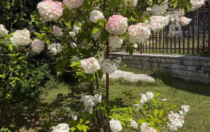 Rodinný dom, časť Kozí vrch, Spišská Nová Ves