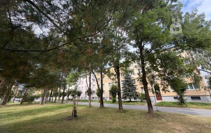 Byt 3+1 centrum, Spišská Nová Ves
