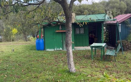 Záhradka v záhradkárskej oblasti Brusník, Sp. Nová Ves
