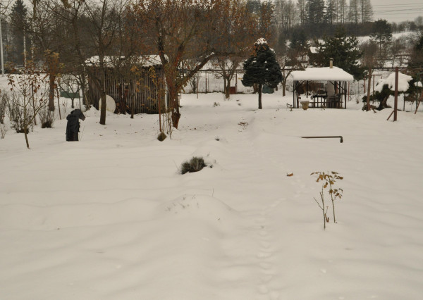 Rodinný dom v obci Markušovce