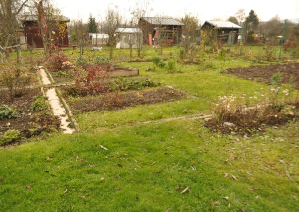 Záhradka, sídl. Tarča, Sp. Nová Ves