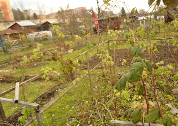 Záhradka, sídl. Tarča, Sp. Nová Ves