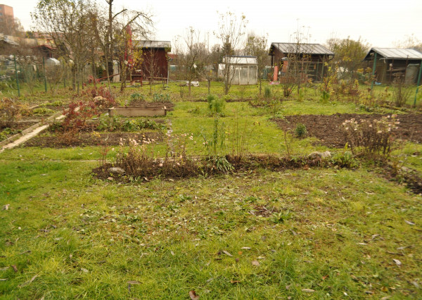 Záhradka, sídl. Tarča, Sp. Nová Ves