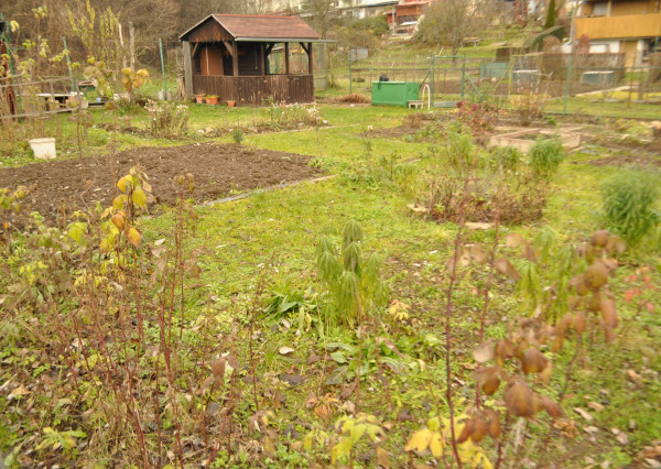 Záhradka, sídl. Tarča, Sp. Nová Ves