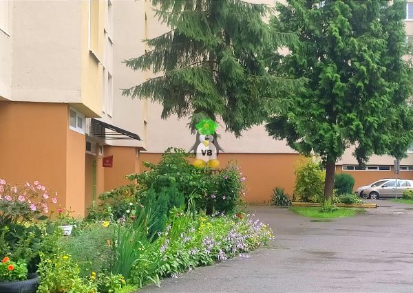 Šikovný byt 3+1 , Michalovce