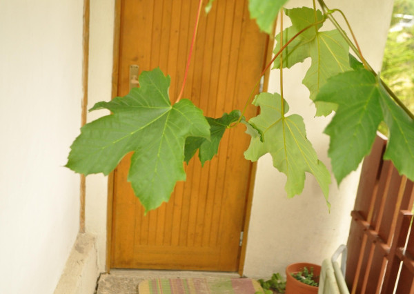 Záhradná chata, Levoča