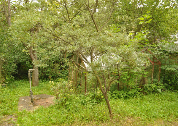 Záhradná chata, Levoča