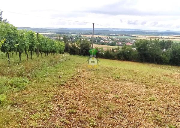 Slnečný rekreačný  pozemok , 650 m2, Vinné