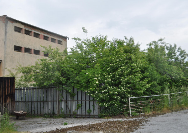 Podnikateľský objekt bitúnok,  Spišské Vlachy