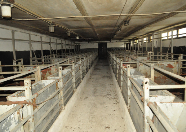 Podnikateľský objekt bitúnok,  Spišské Vlachy