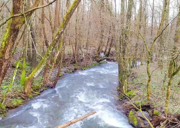 PREDANÉ - Rodinný dom alebo chalúpka pod lesom, 892 m2, Remetské Hámre