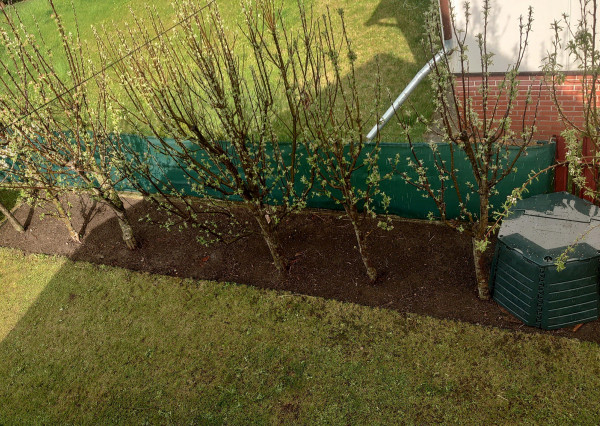 Rodinný dom v obci Smižany, okr. Sp. Nová Ves