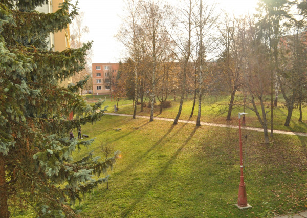 Byt 3+1 sídl. Tarča, Sp. Nová Ves