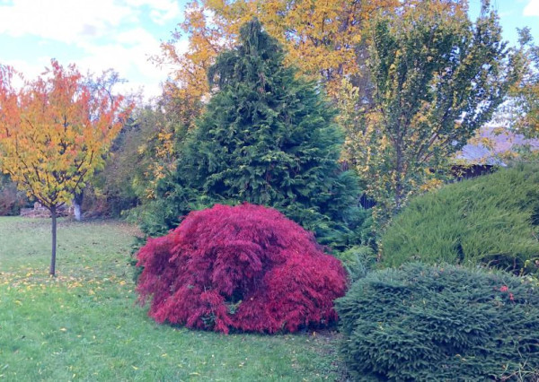 Jedinečný rodinný dom v obci Vinné s rozľahlým pozemkom