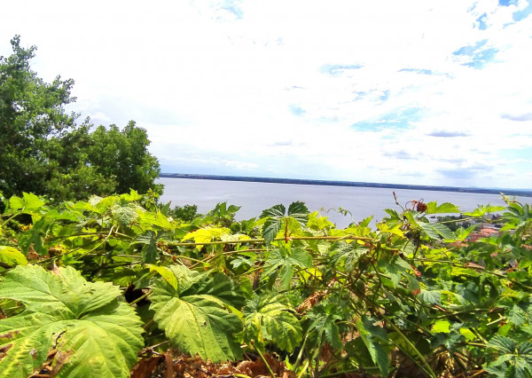 Rekreačný pozemok- Vinianka, Zemplínska Šírava