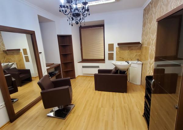 Prenájom komerčných nebytových priestorov v centre SNV