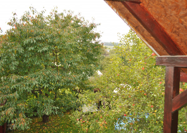 Záhradná chatka, Tarča, Sp.Nová Ves