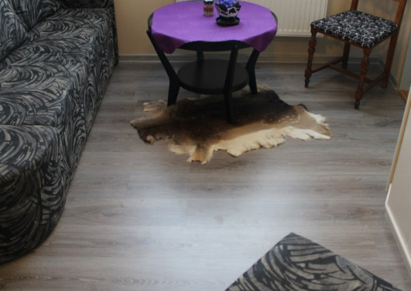 Ponúkame na predaj areal v Michalovciach