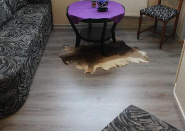 Ponúkame na predaj areal v Michalovciach