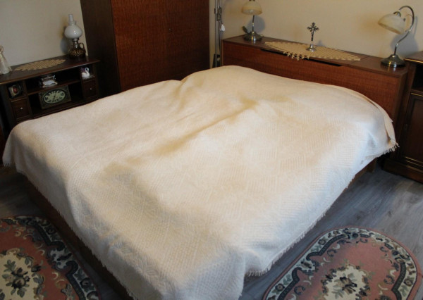 Ponúkame na predaj areal v Michalovciach