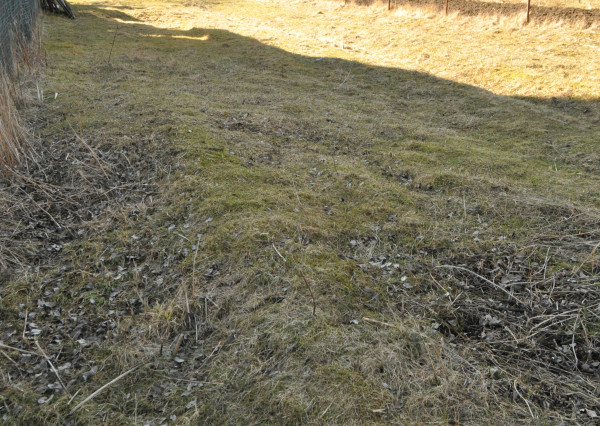 Pozemok v obci Iliašovce okres Spišská Nová Ves
