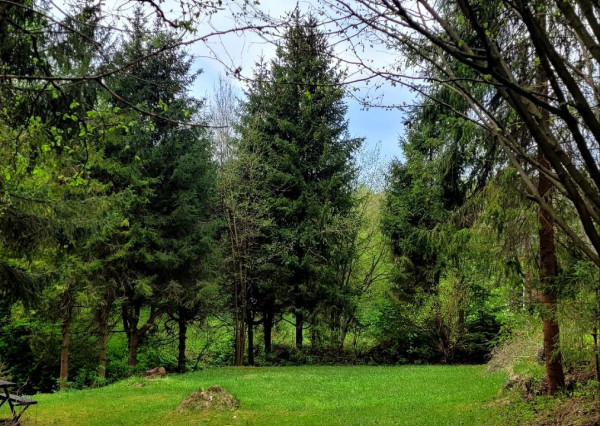 Chata s pozemkom na Čingove, okr. Sp. Nová Ves