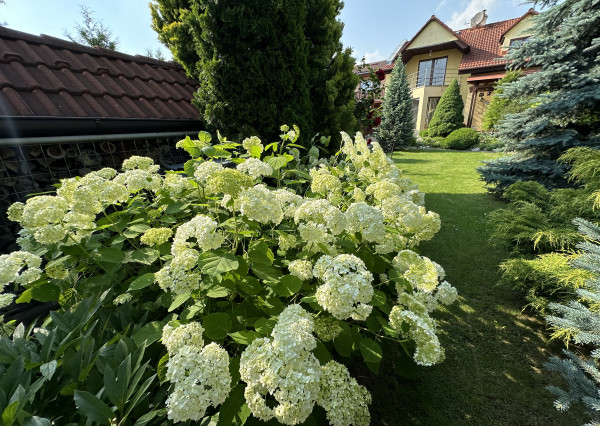 Rodinný dom Smižany, okr. Sp. Nová Ves