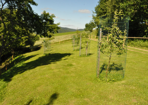 Rodinný dom, chalupa v obci Brutovce, okres Levoča