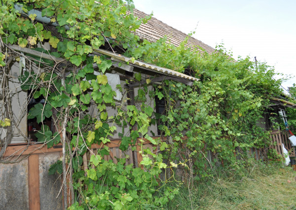 Rodinný dom v obci Rákoš, okr. Revúca