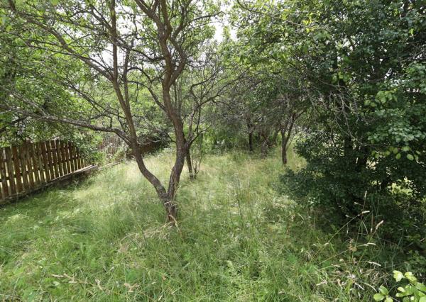 Rodinný dom v obci Markušovce, okres Spišská Nová Ves