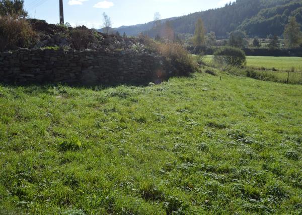 Predám investičný pozemok vo Vítkovciach