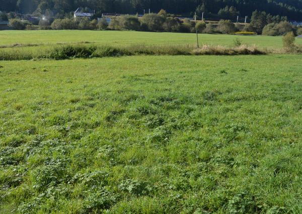 Predám investičný pozemok vo Vítkovciach