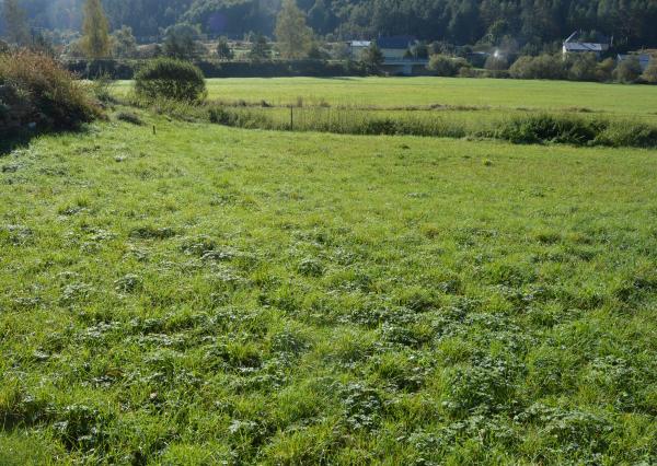 Predám investičný pozemok vo Vítkovciach