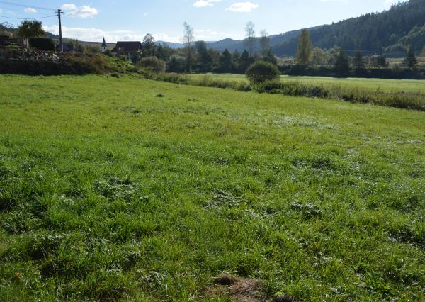 Predám investičný pozemok vo Vítkovciach