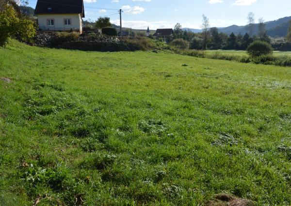 Predám investičný pozemok vo Vítkovciach