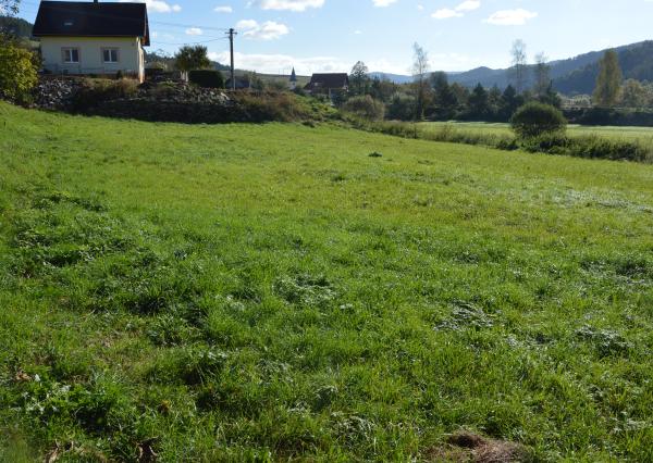 Predám investičný pozemok vo Vítkovciach