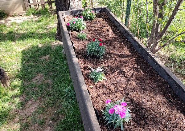 Záhradka s chatkou na sídl. Mier, Sp. Nová Ves