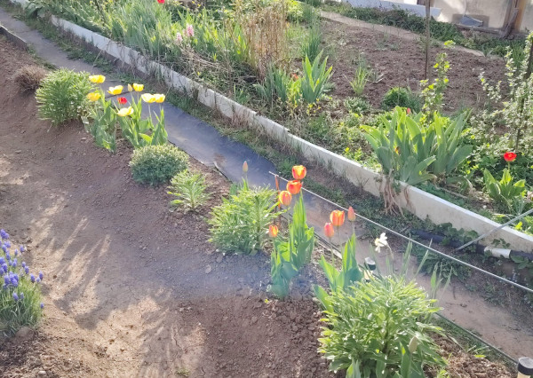 Záhradka s chatkou na sídl. Mier, Sp. Nová Ves