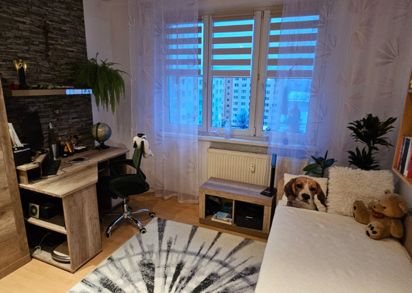 Byt 3+1 na sídlisku Mier, Spišská Nová Ves