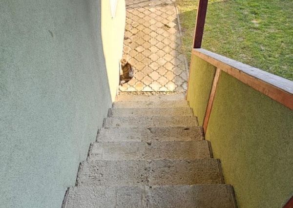 Rodinný dom s 2 samost. bytov. jednotkami v obci Jamník, SNV