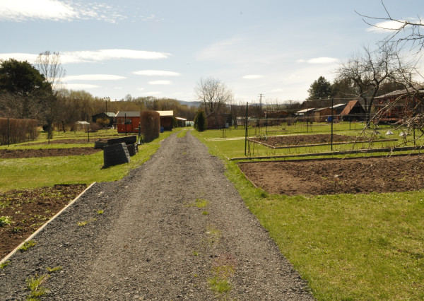 Záhradka s chatkou v záhradkarskej osade na líške, Sp. Nová Ves