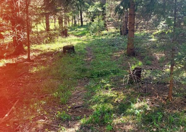 Pozemok pri potoku v časti Zahájnica, Nálepkovo