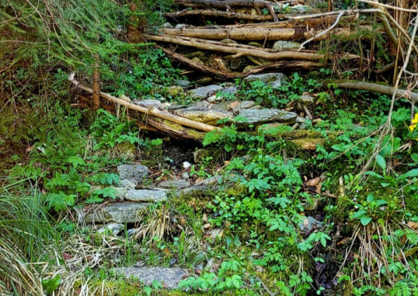 Pozemok pri potoku v časti Zahájnica, Nálepkovo