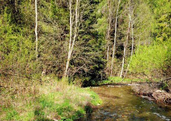 Pozemok pri potoku v časti Zahájnica, Nálepkovo