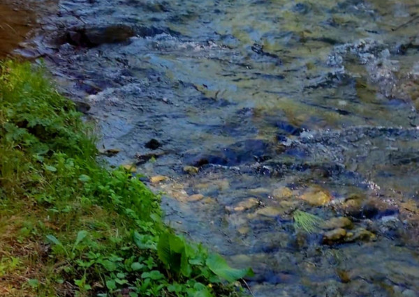 Pozemok pri potoku v časti Zahájnica, Nálepkovo