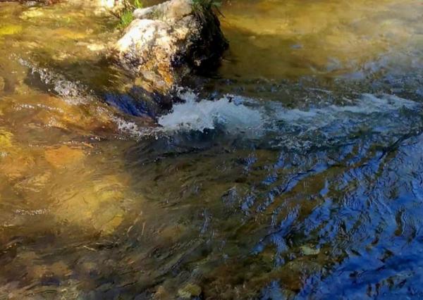 Pozemok pri potoku v časti Zahájnica, Nálepkovo