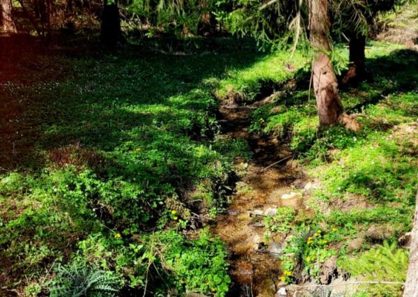 Pozemok pri potoku v časti Zahájnica, Nálepkovo