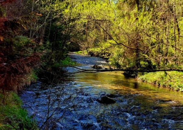 Pozemok pri potoku v časti Zahájnica, Nálepkovo